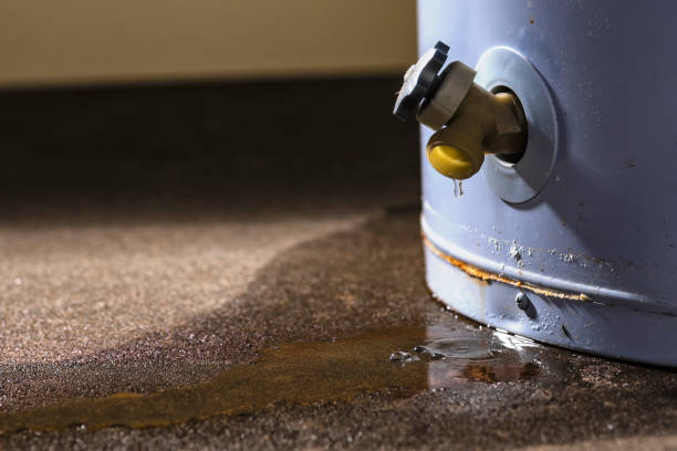 Best Commercial water damage restoration  in Morgan, UT