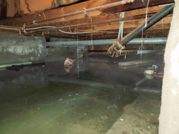 Water damage restoration experts in Morgan, UT
