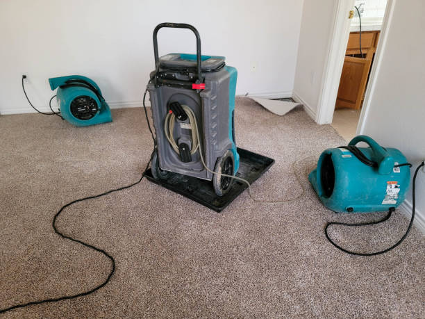 Best Flood damage cleanup  in Morgan, UT