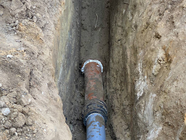 Best Basement water damage restoration  in Morgan, UT