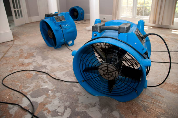 Best Water damage restoration experts  in Morgan, UT