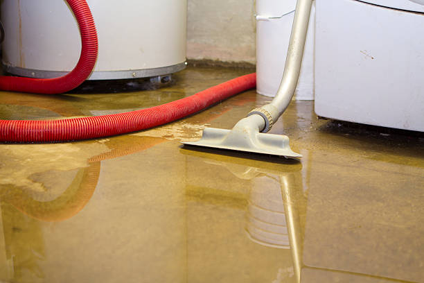Best 24/7 water damage repair  in Morgan, UT