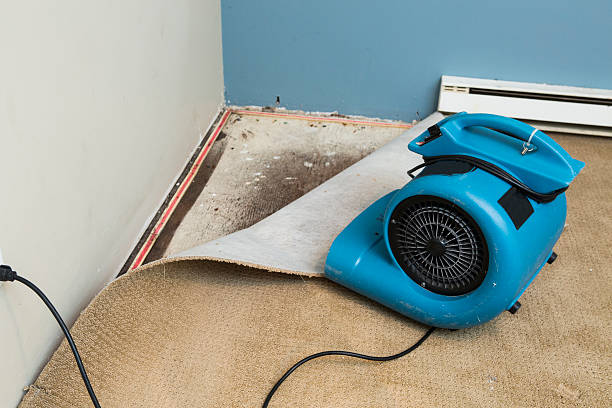 Water damage restoration experts in Morgan, UT